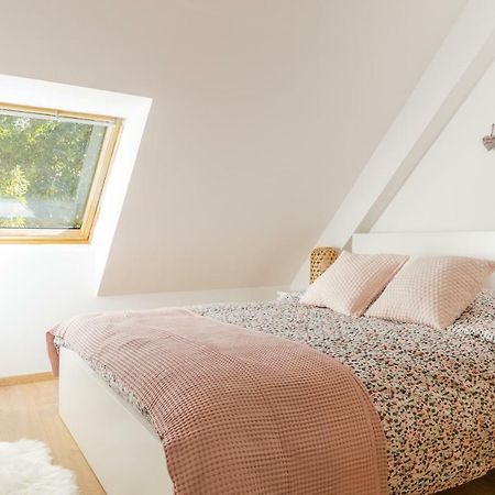 Appartement De Standing 8 Personnes Centre Historique De 콜마 외부 사진
