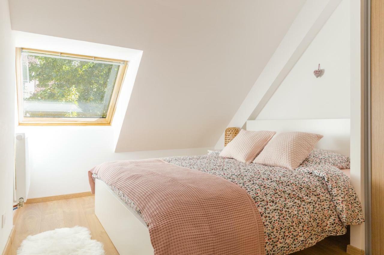 Appartement De Standing 8 Personnes Centre Historique De 콜마 외부 사진